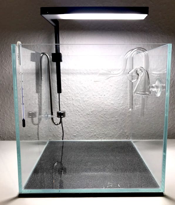 Das perfekte Aquarium für Aquascaping - Q-Grow Einsteiger Guide