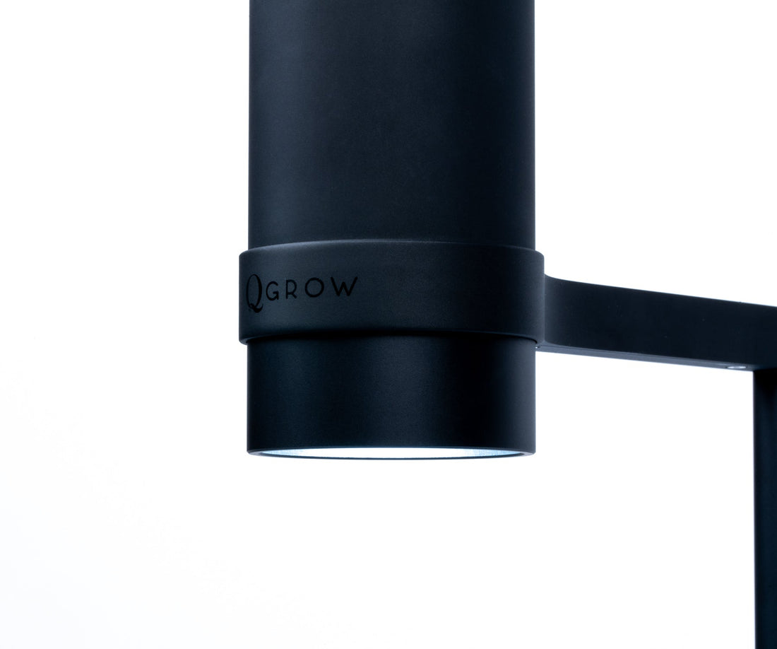 Q-Grow NanoSun LED über einem bepflanzten Aquascape