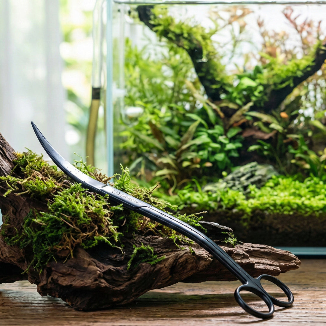 Q-Grow Wave Schere vor einem dicht bepflanzten Aquarium