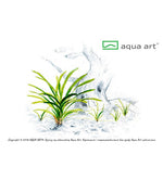 Sagittaria subulata (Zwergpfeilkraut) von Aqua Art