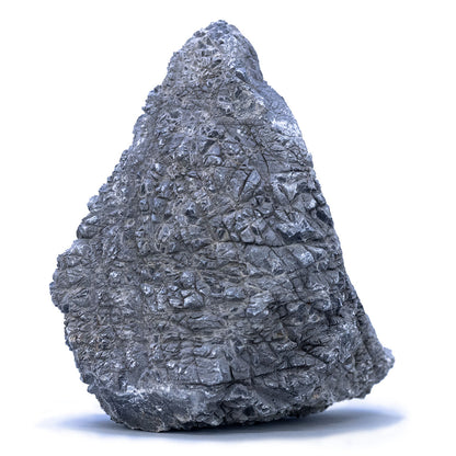 Amelia Stones