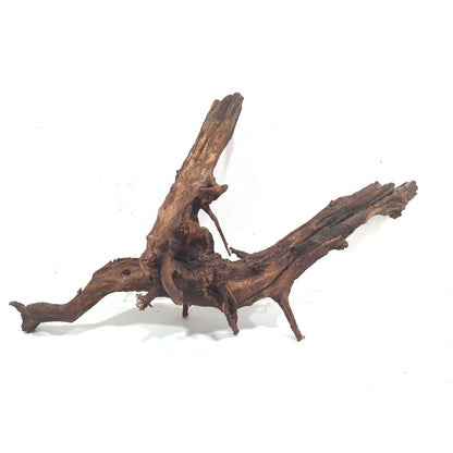 Driftwood - Flusswurzel