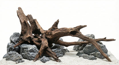 Driftwood - Set