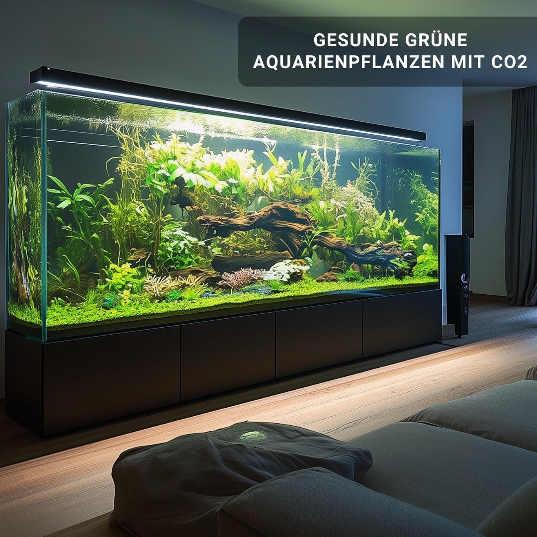 nobrand Aquarium CO2 Diffuser Aquarium Atomizer Outdoor Tank CO2 Atomizer Carbon Dioxide Diffuser for Aquarium Accessories(M2 16/22mm nobrand Aquarium CO2 Diffuser Aquarium Atomizer Outdoor Tank CO2 Atomizer Carbon Dioxide Diffuser for Aquarium Accessories(M2 16/22mm