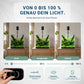 Nanosun LED Lampe