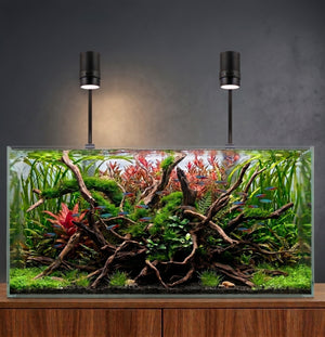 Nanosun LED Duo - 2er Set