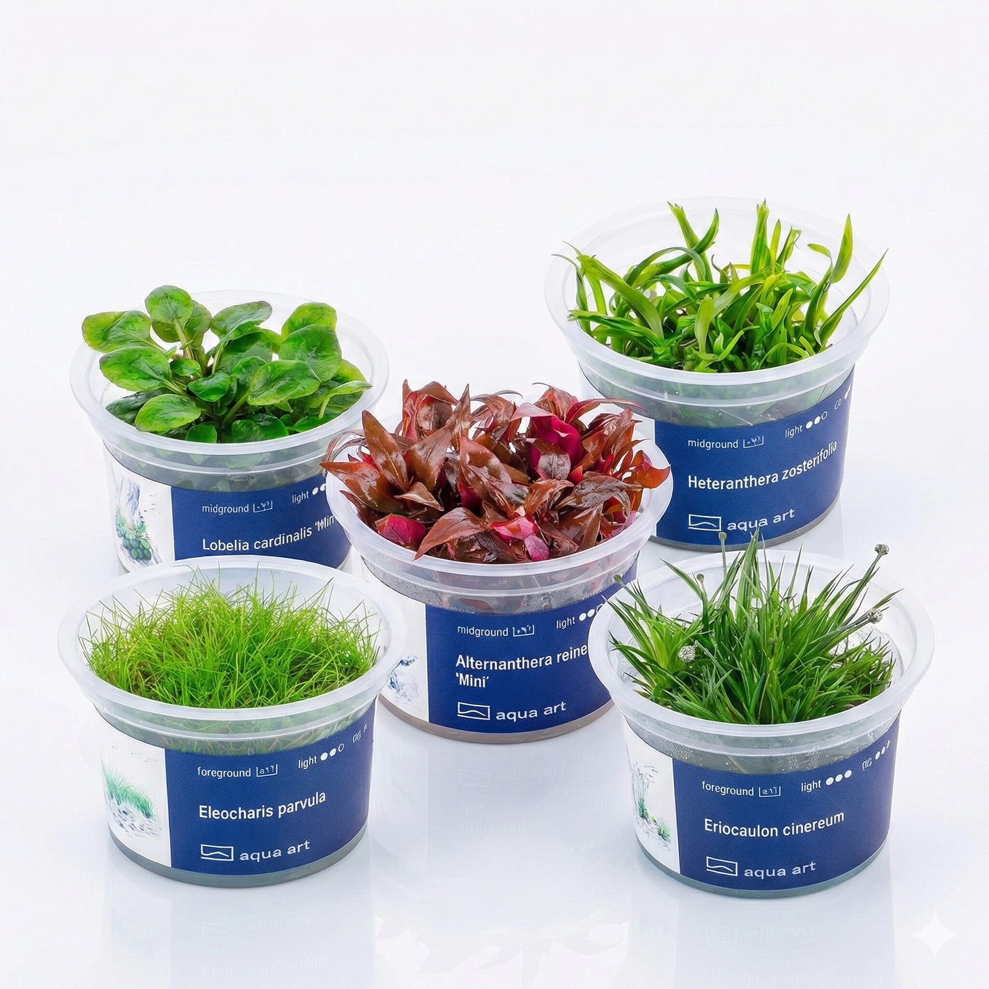 Build-Your-Plant Set