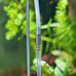 CO2 SafeFlow