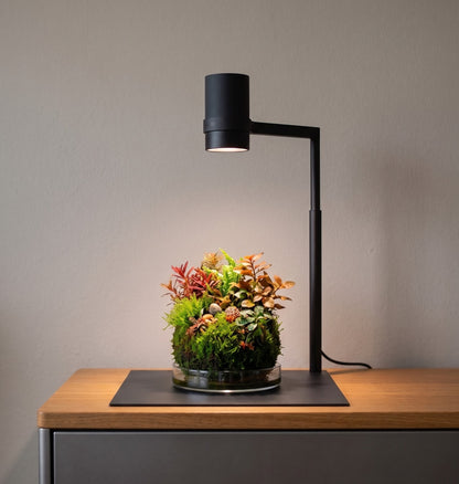 Nanosun LED Studio - Set mit Stand