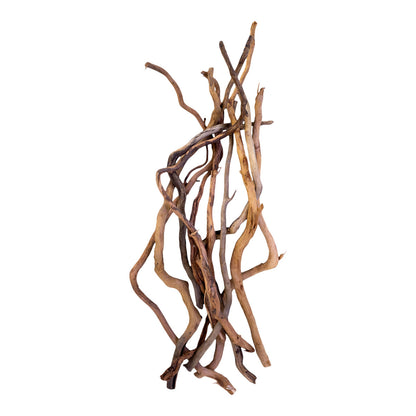 Root Wood