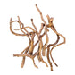 Root Wood