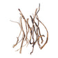 Root Wood