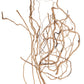 Root Wood
