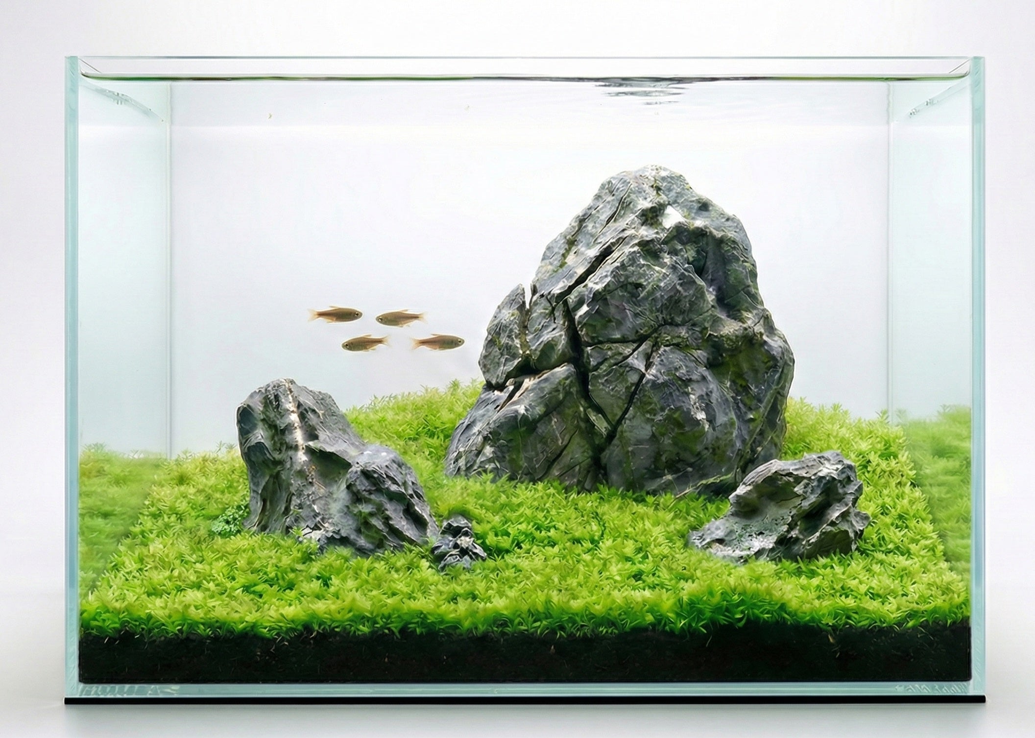 Tropica Aquarium Soil