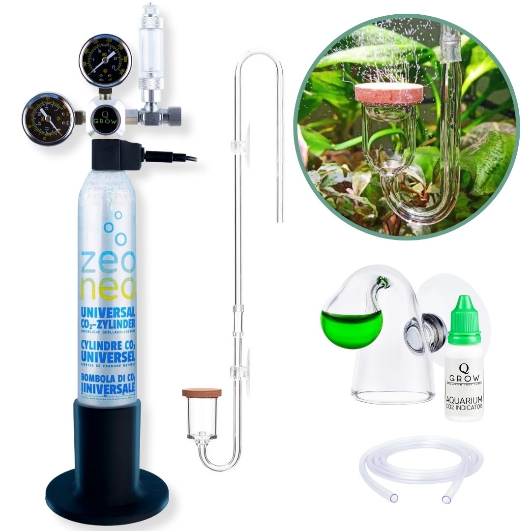 CO2 Anlage Aquarium Komplettset Plus Transparent