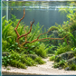 Fingerwurzel natürlich zwischen Aquarienpflanzen integriert, Schieferplatte im Bodengrund verborgen – Gestaltungsbeispiel