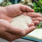 Michigan Pure Sand