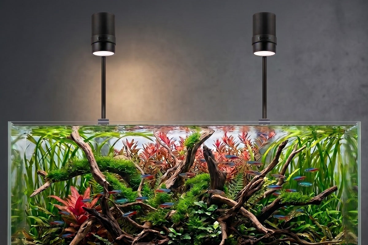 NanoSun LED Duo an einem breiteren Aquascape