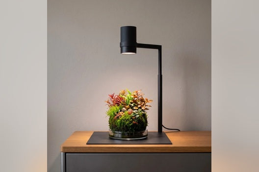 NanoSun LED Studio mit vollständigem Stand und Wabi Kusa – Hauptbild der Website