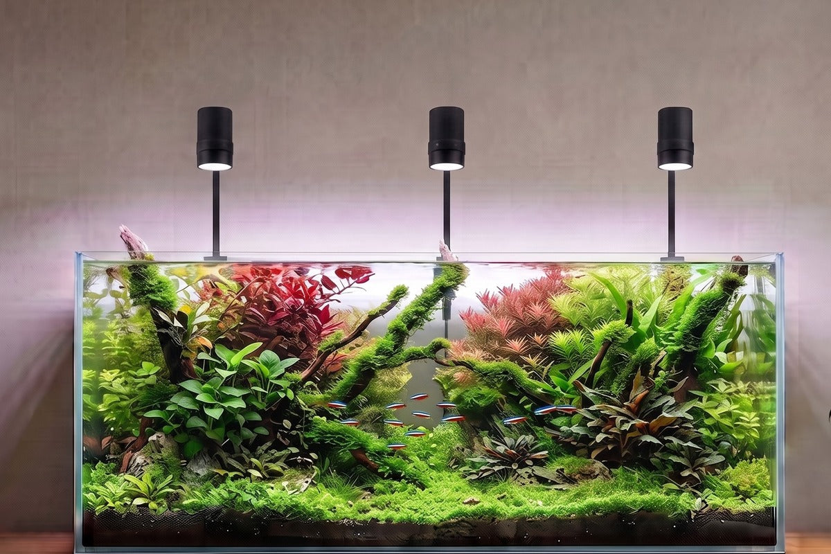 NanoSun LED Trio an einem großen Aquascape