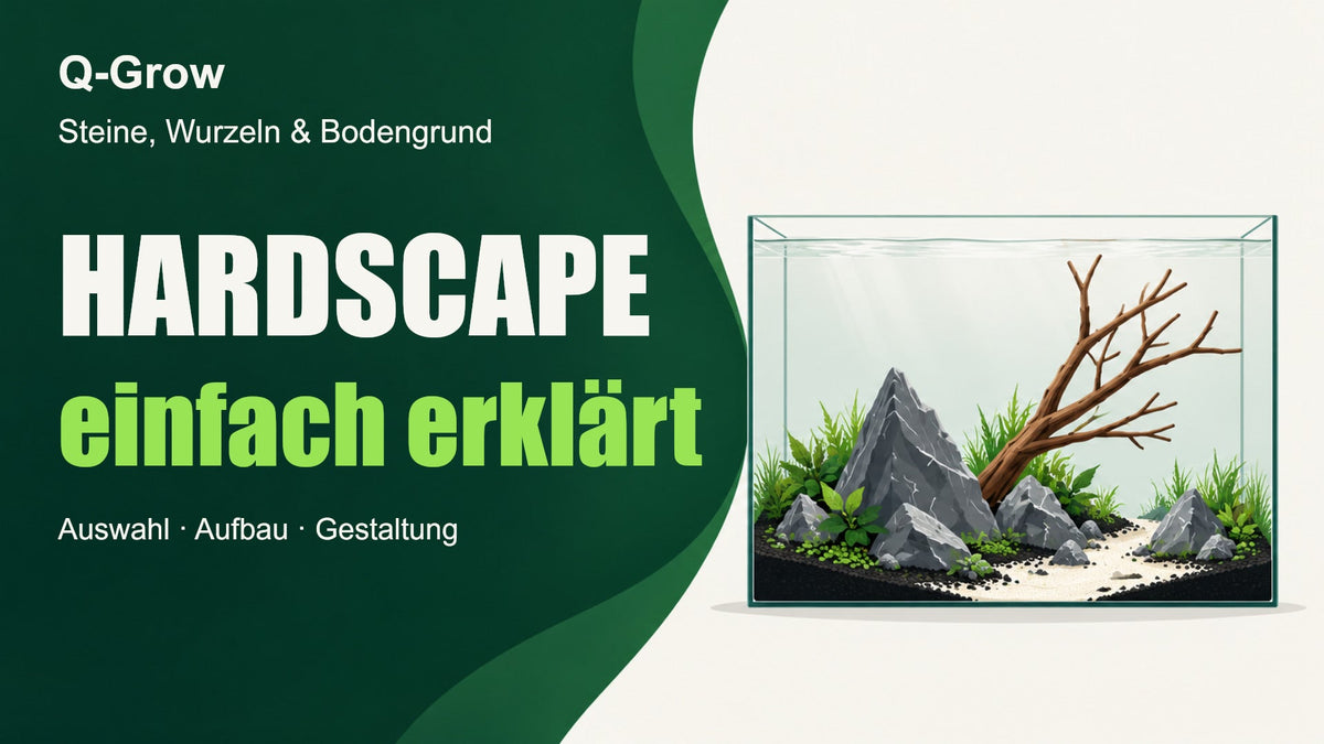 Video laden: HARDSCAPE einfach erklärt: Aquascaping-Komposition mit Steinen, verzweigtem Holz sowie Soil, Sand und Kies als Bodengrund.
