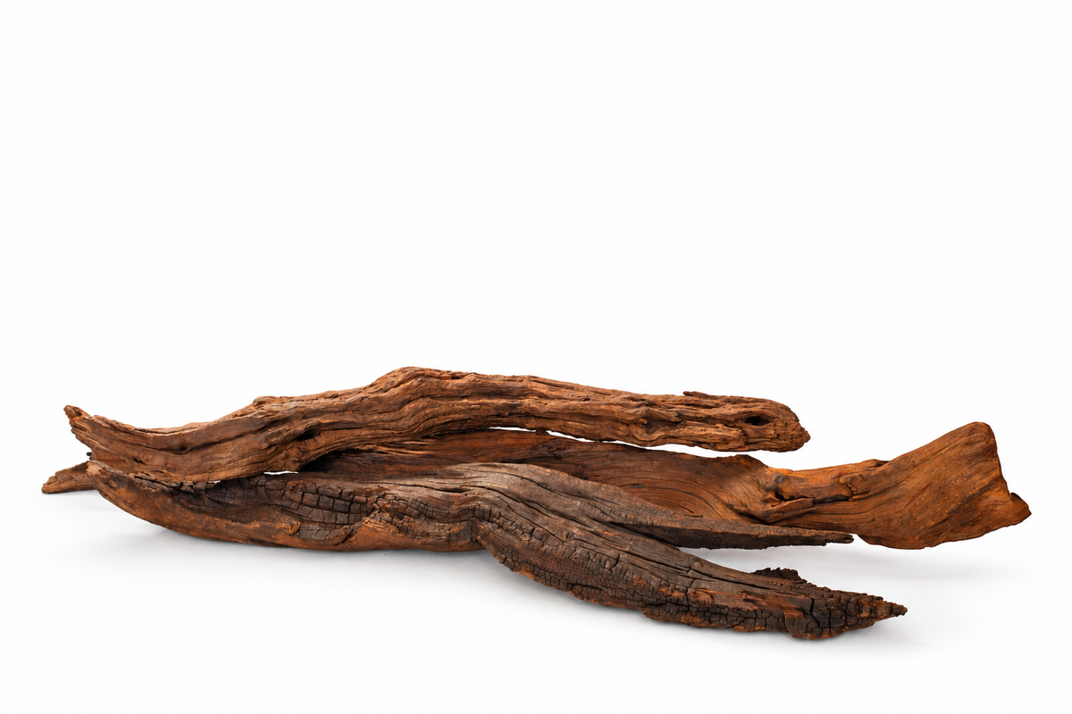 Reales Produktbeispiel einer niedrigen Driftwood-Stammform mit länglichen Öffnungen, parallelen Holzarmen und dunkler rissiger Maserung.