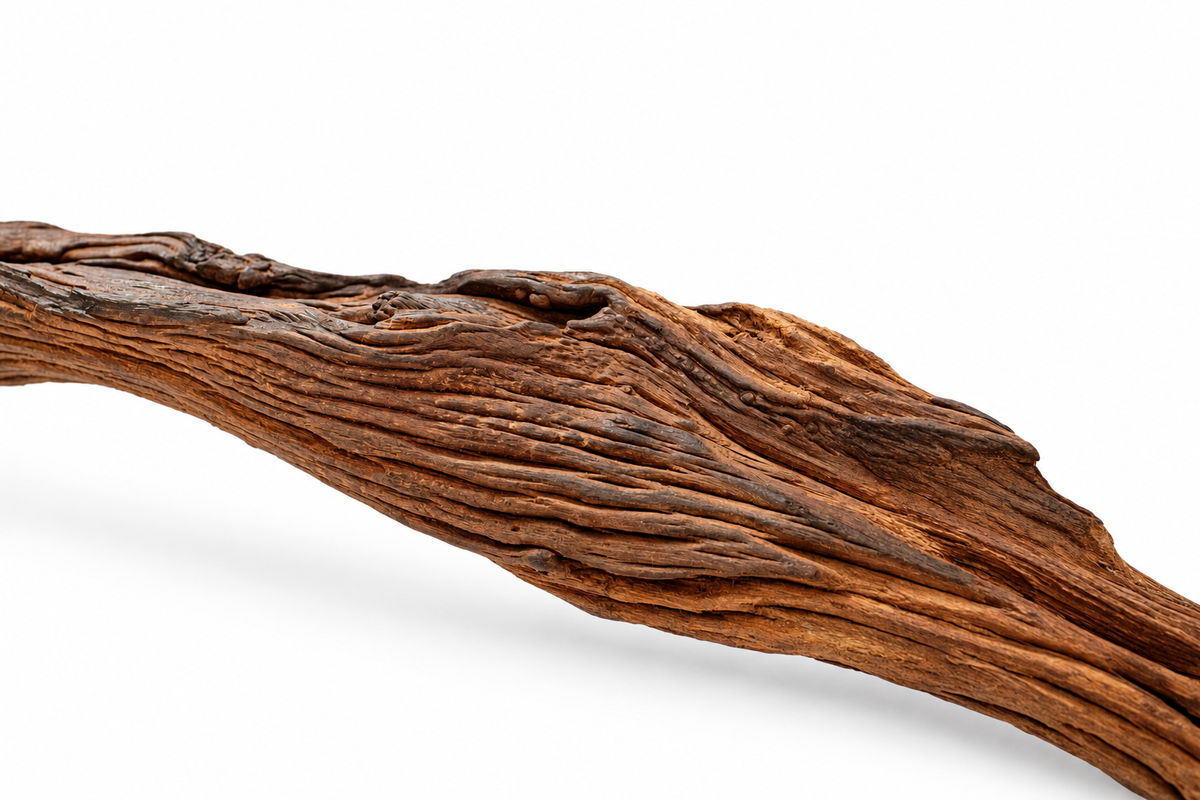 Detailfoto der natürlichen, kräftig geschichteten Maserung und dunklen Rillen einer Driftwood-Wurzel in Stammform.
