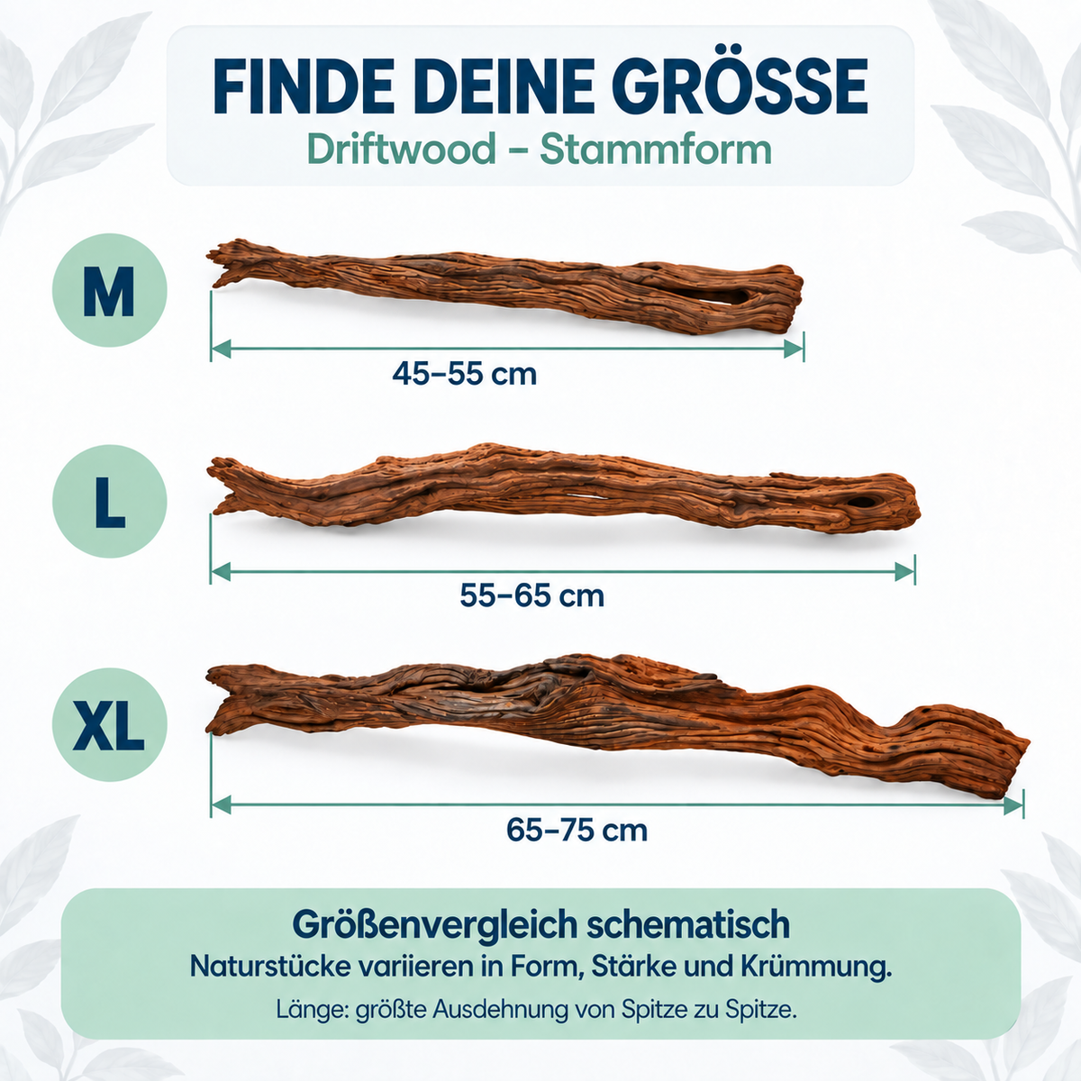 Schematischer Größenvergleich mit drei unterschiedlichen einzelnen Driftwood-Wurzeln: M 45–55 cm, L 55–65 cm und XL 65–75 cm.