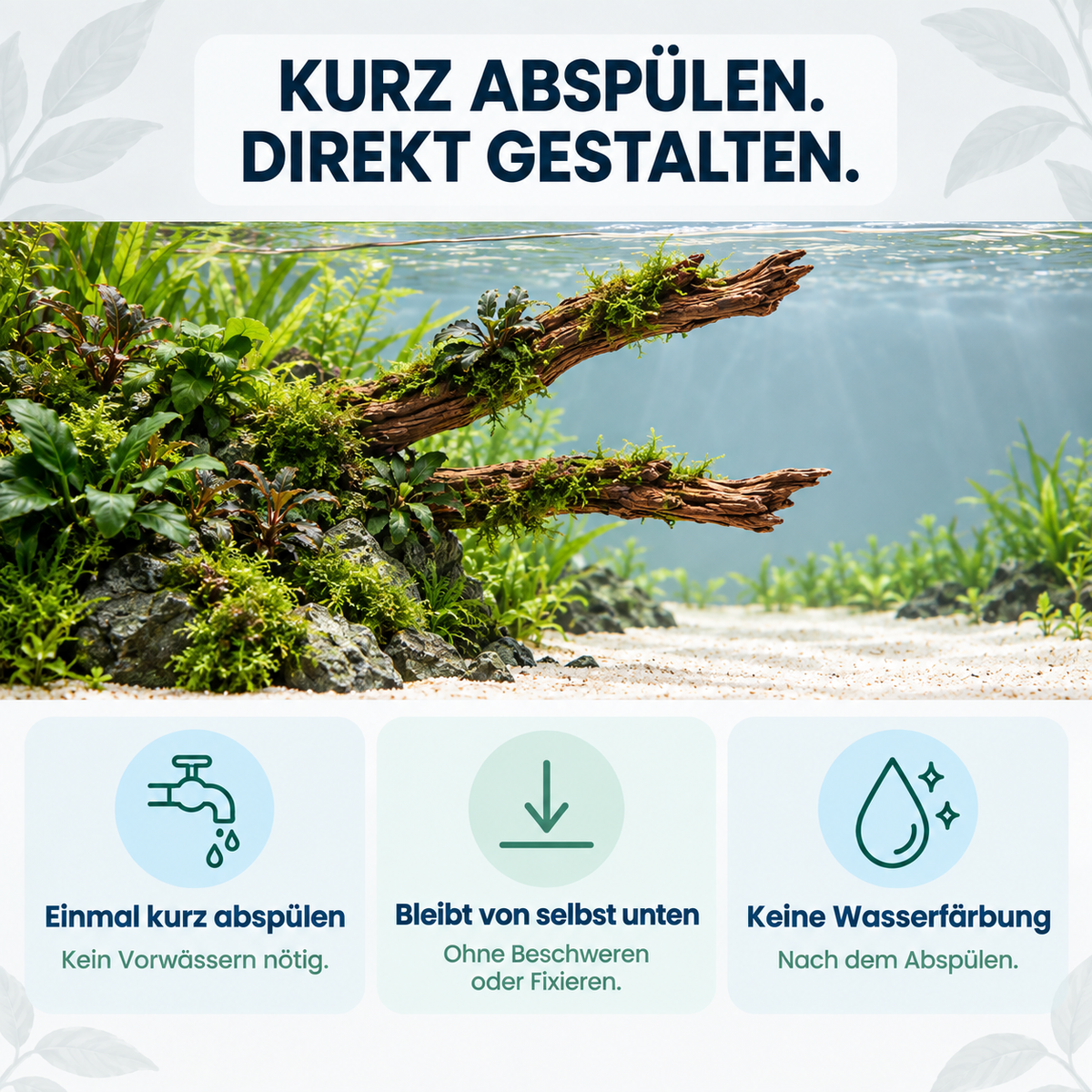 Driftwood-Stammformen in einer bepflanzten Insel: kurz abspülen, bleibt von selbst unten, nach dem Abspülen keine Wasserfärbung.