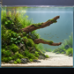 Aquascape-Gestaltungsbeispiel mit zwei bepflanzten Driftwood-Stämmen, deren Spitzen aus einer Pflanzeninsel ins freie Wasser ragen.